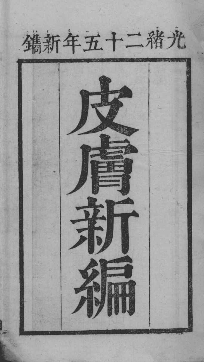 中西医书八种合刻  皮膚新编